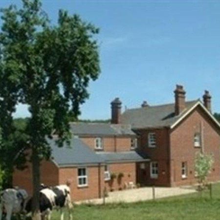 Mill Farm Villa Exeter Luaran gambar