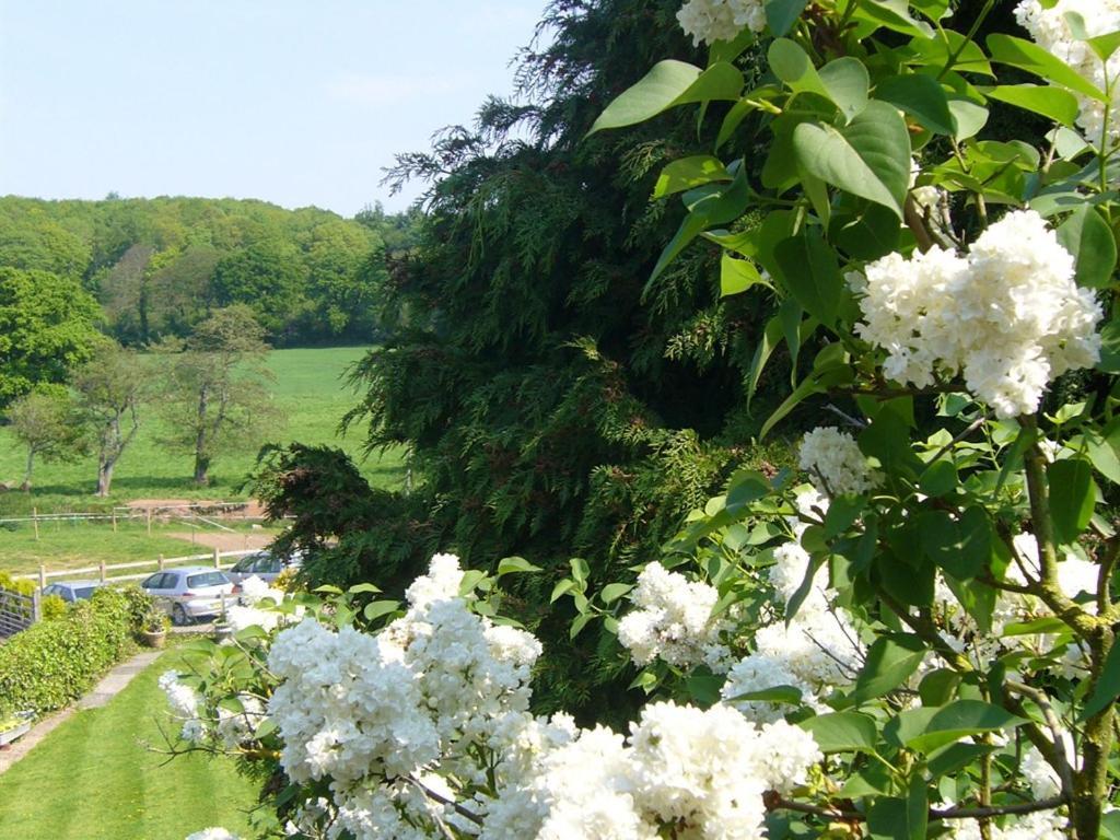 Mill Farm Villa Exeter Luaran gambar