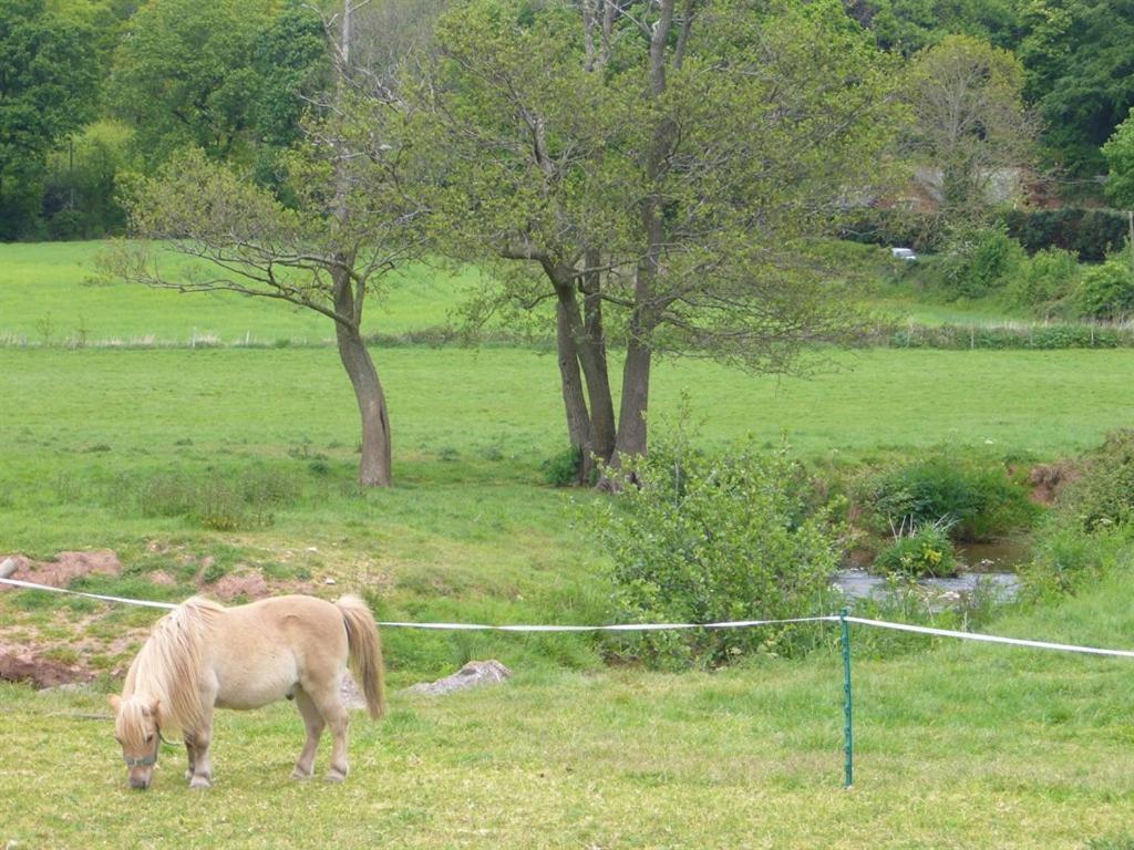 Mill Farm Villa Exeter Luaran gambar